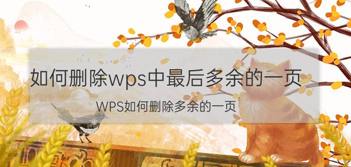 如何删除wps中最后多余的一页 WPS如何删除多余的一页？